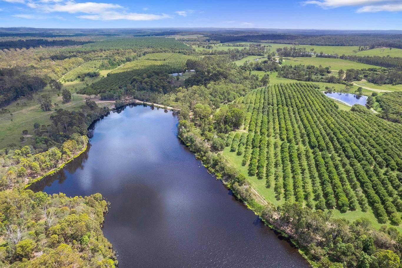 Macadamia Farm For Sale Queensland 