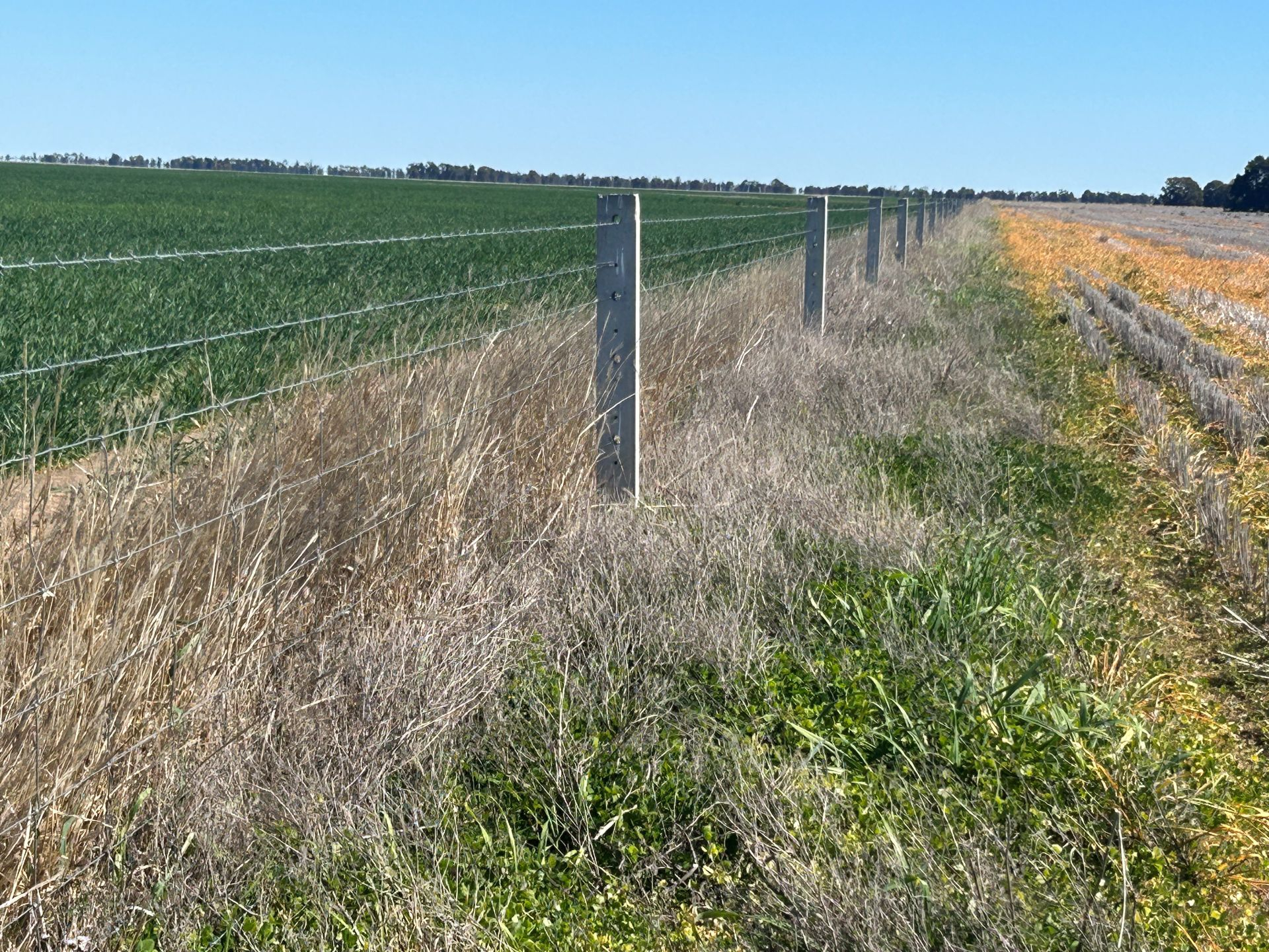Mixed Farm For Sale QLD