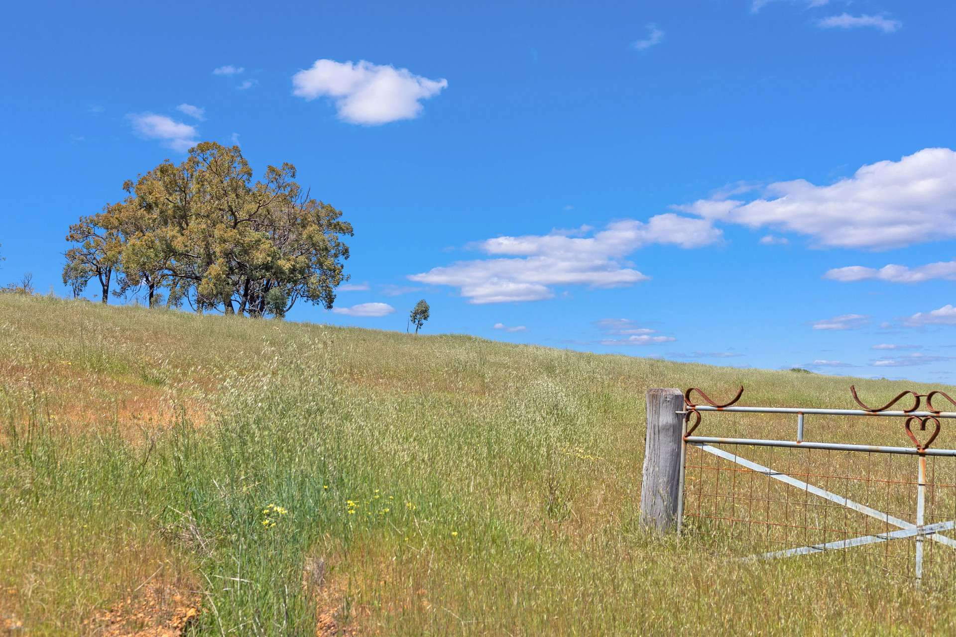 rural property for sale WA