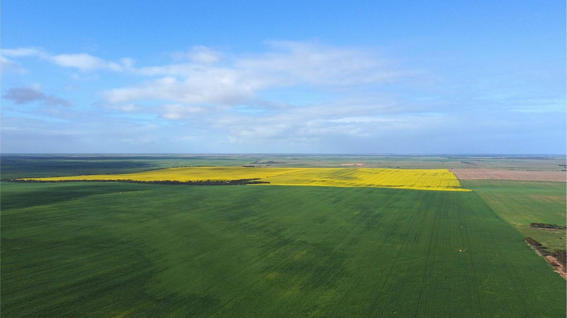 Broadacre Farm For Sale SA