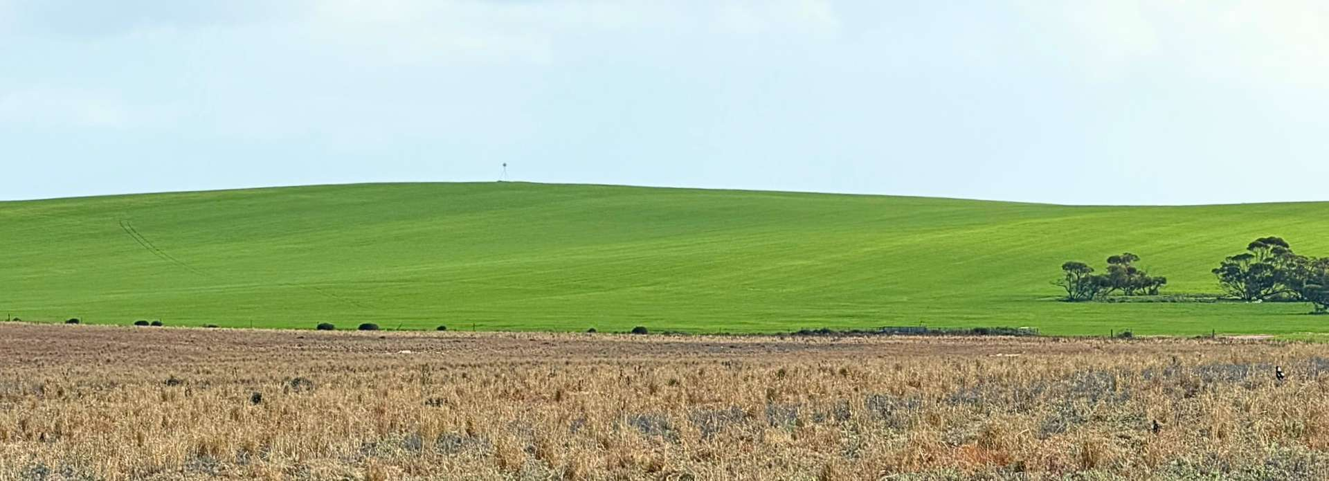 Broadacre Farm For Sale SA