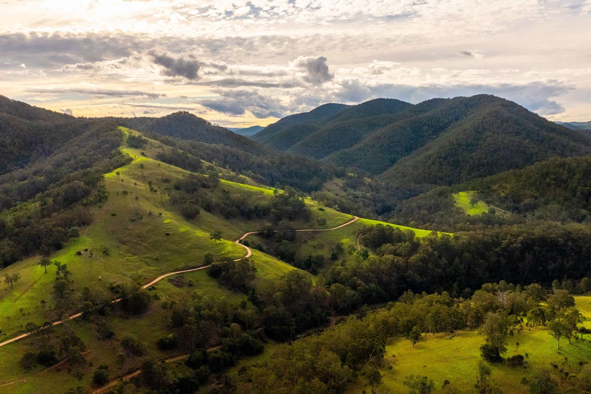 Cattle Property For Sale NSW