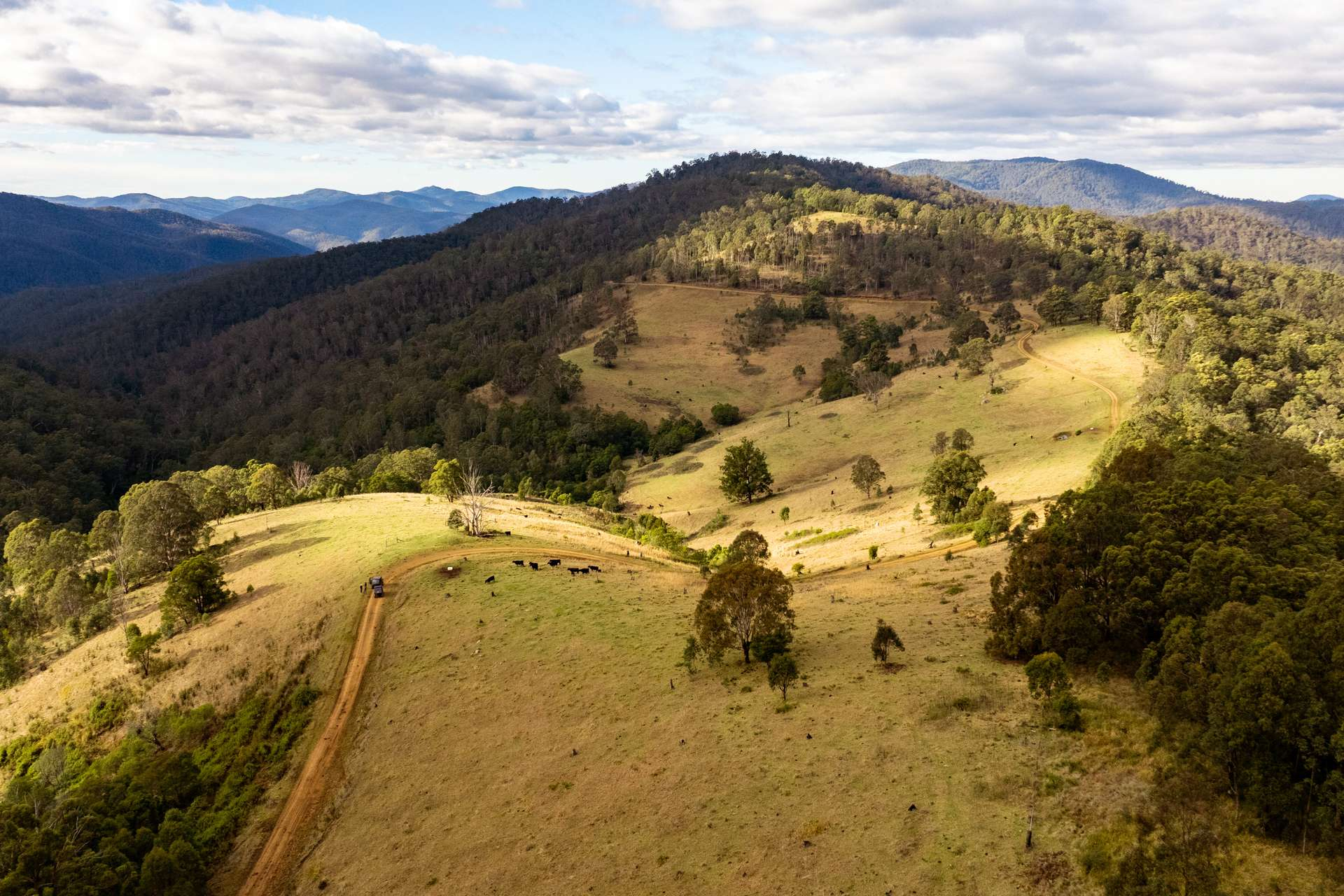 Cattle Property For Sale NSW