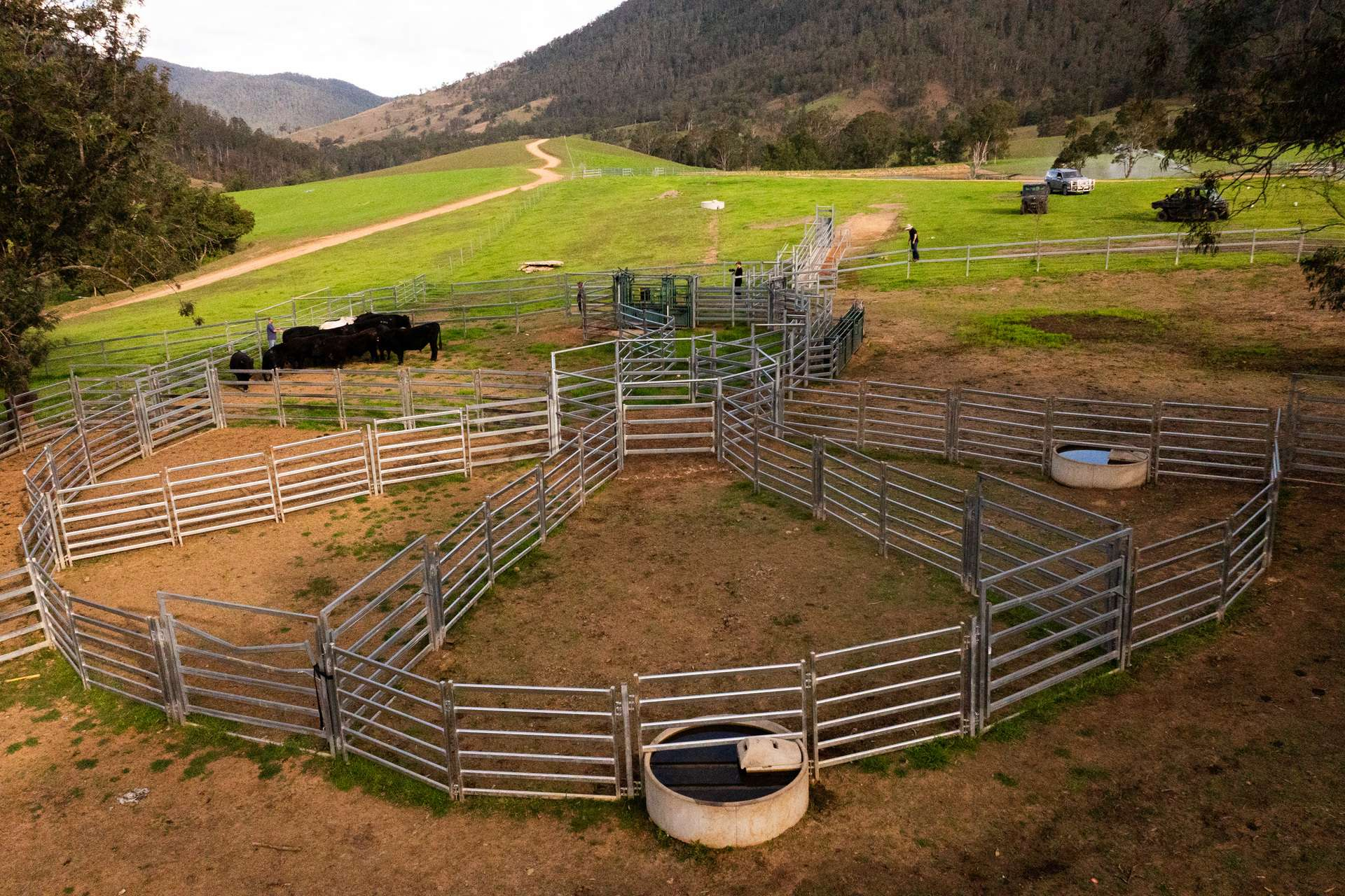 Cattle Property For Sale NSW