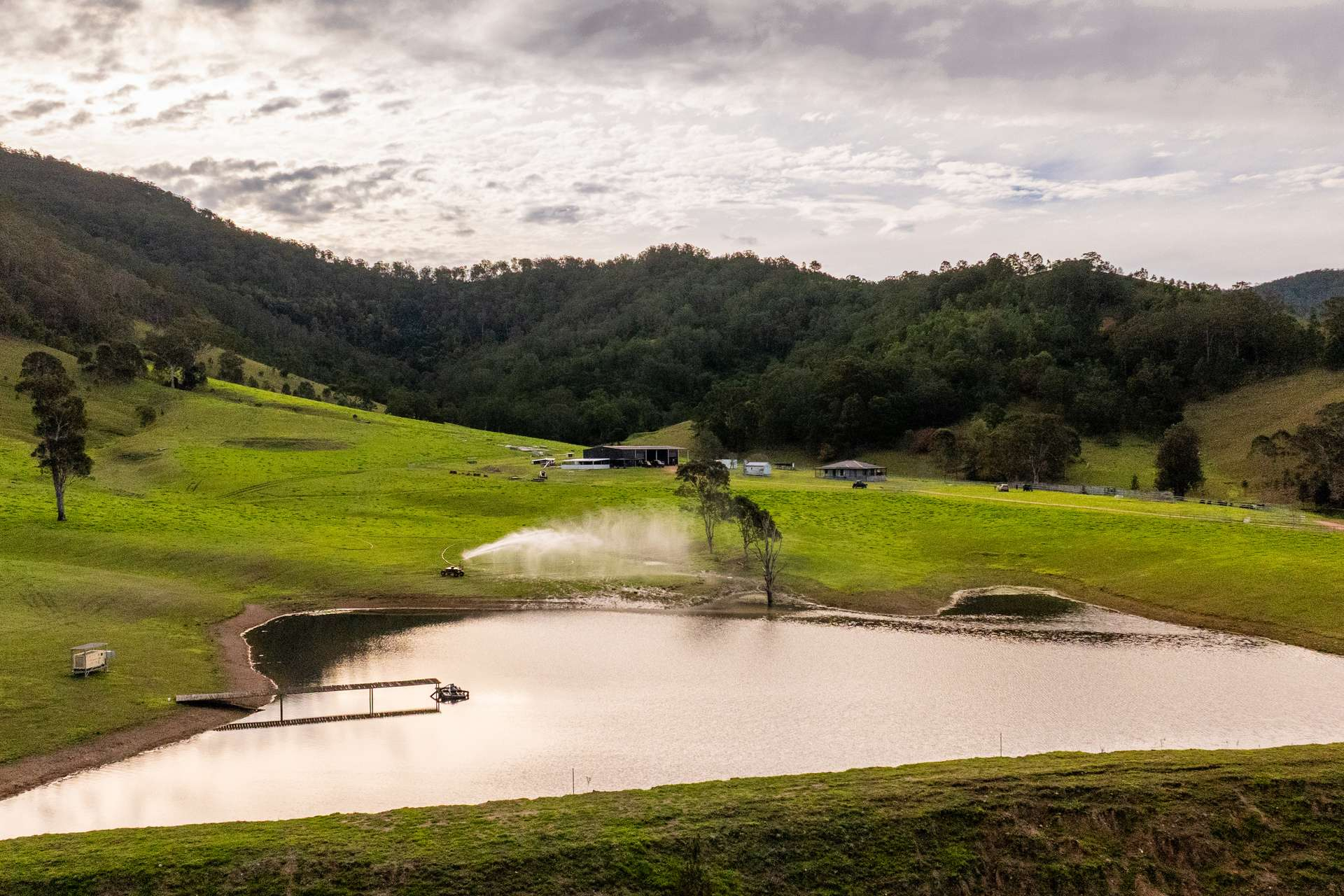 Cattle Property For Sale NSW