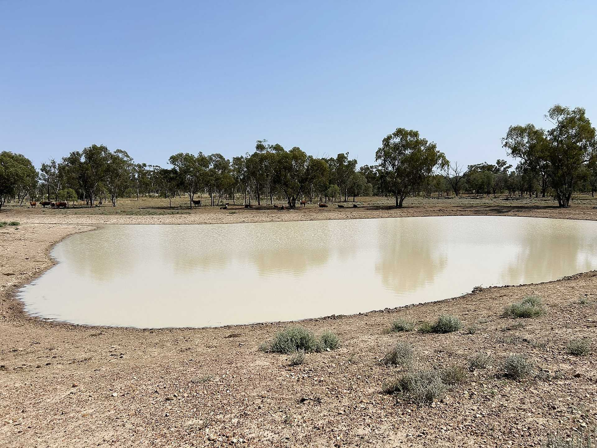 cattle property for sale QLD