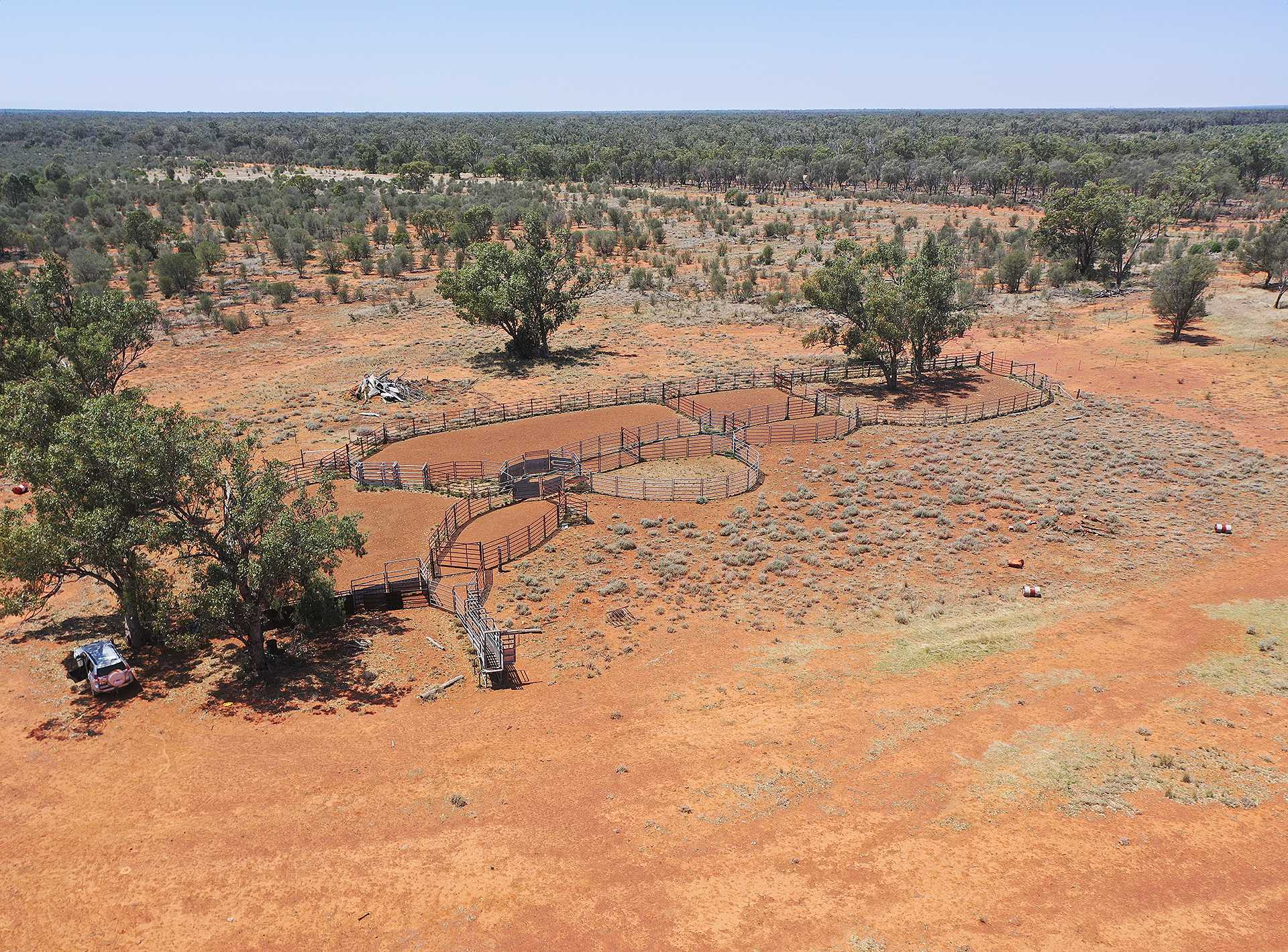cattle property for sale QLD