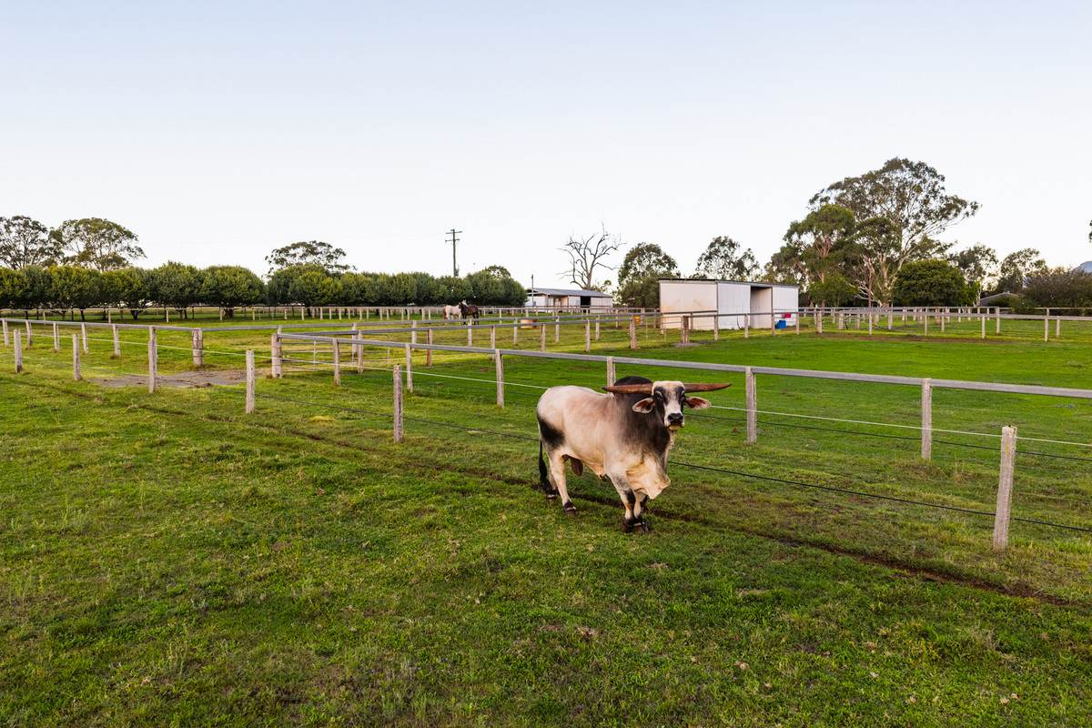 rural property for sale QLD