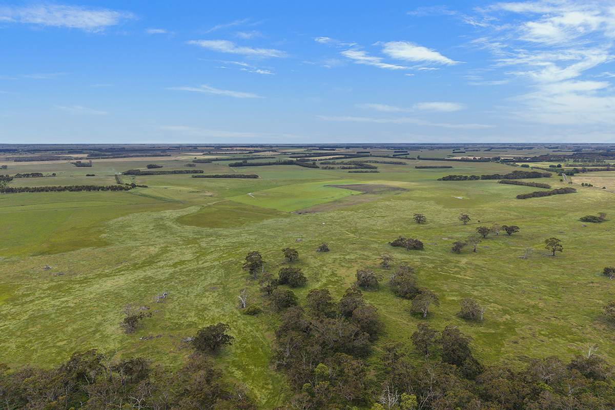 Cattle Property For Sale VIC