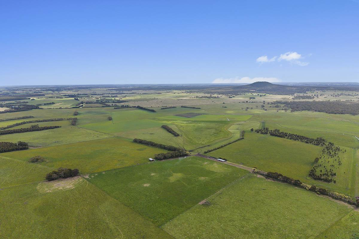 Cattle Property For Sale VIC