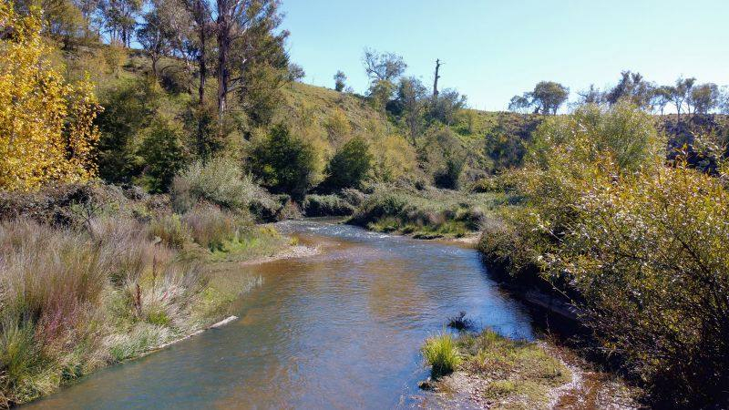 rural lifestyle property for sale NSW