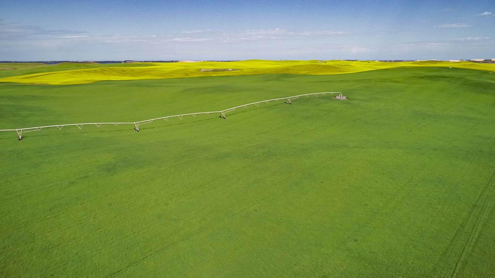 dairy farm for sale south australia