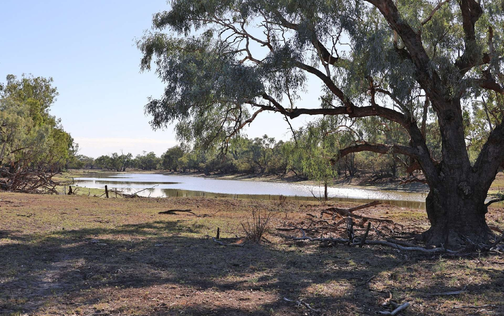 cattle property for sale QLD