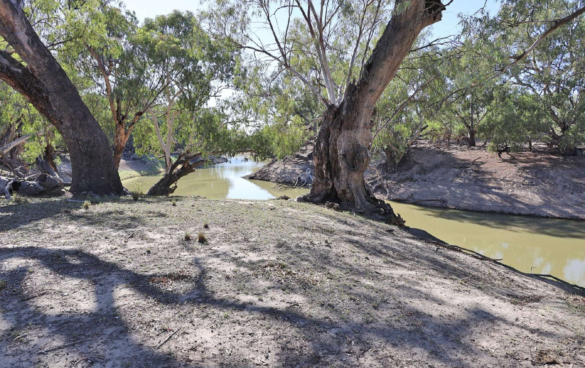 cattle property for sale QLD