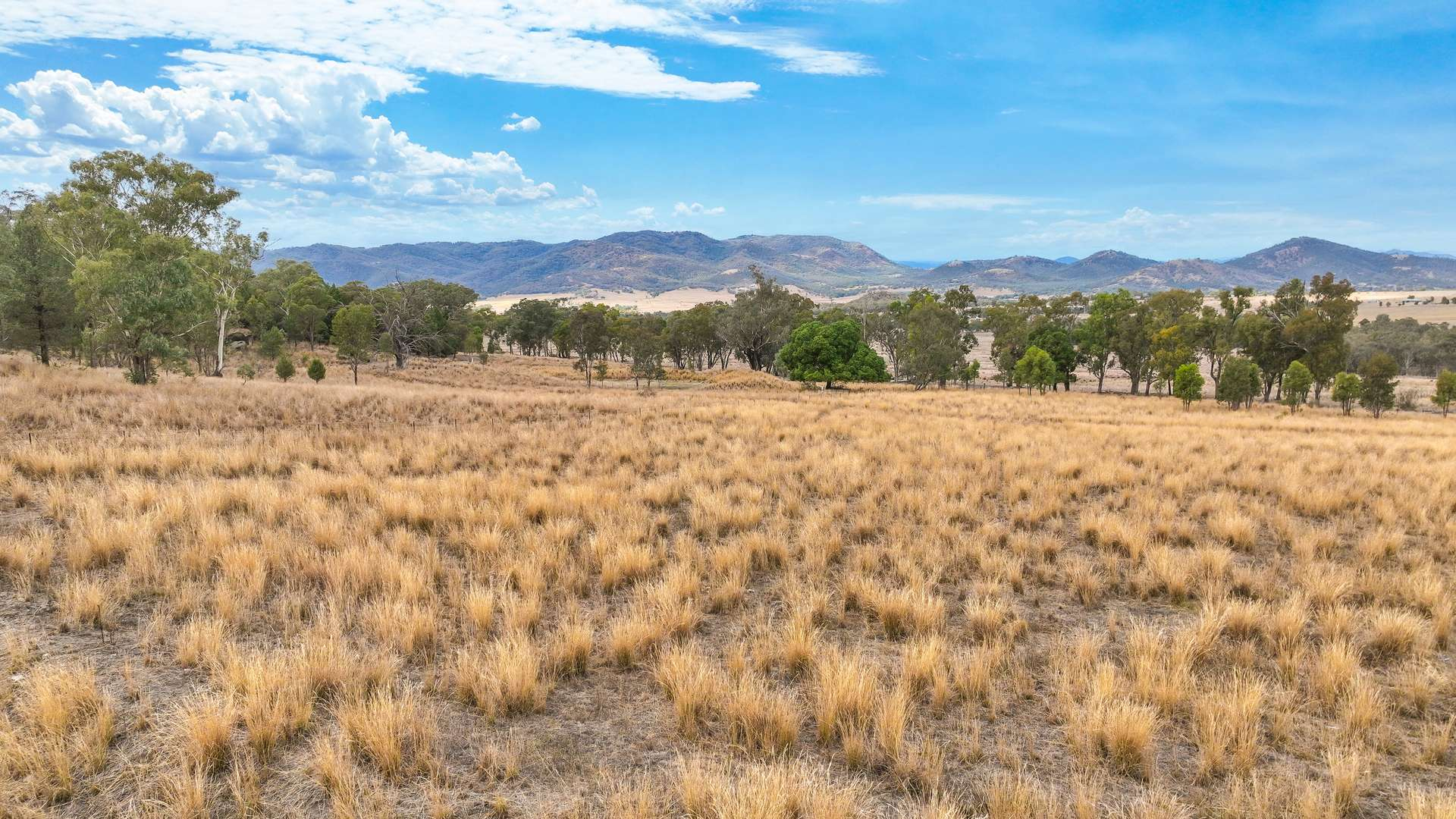 rural property for sale NSW