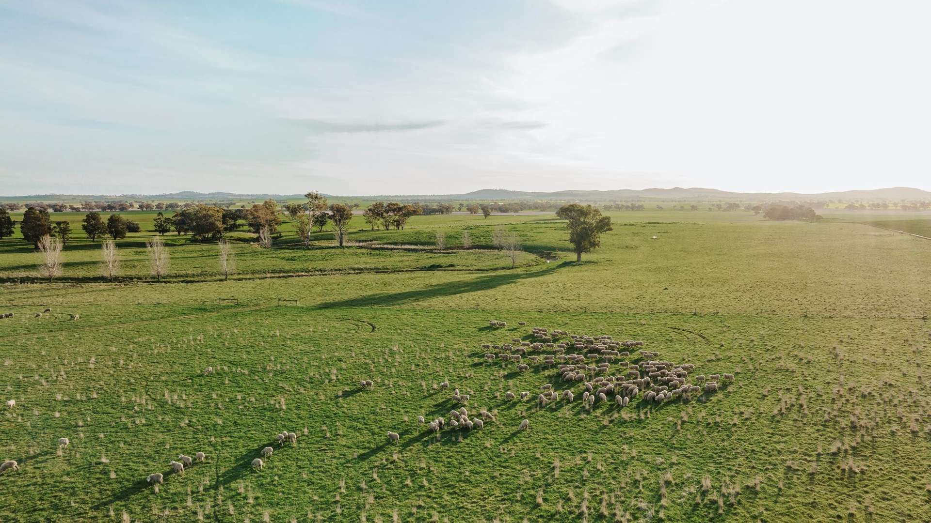 rural property for sale NSW