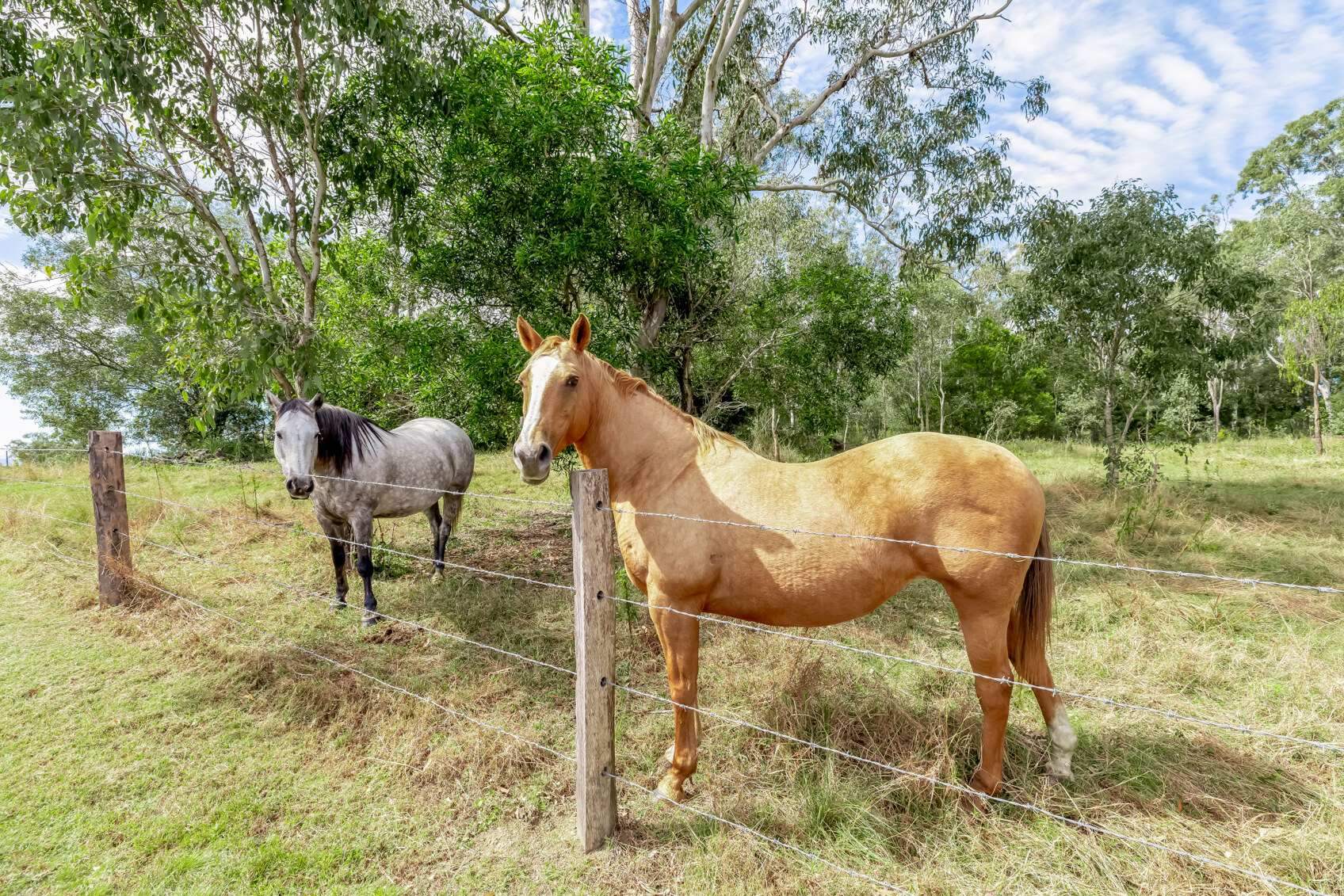 Rural Property For Sale QLD 