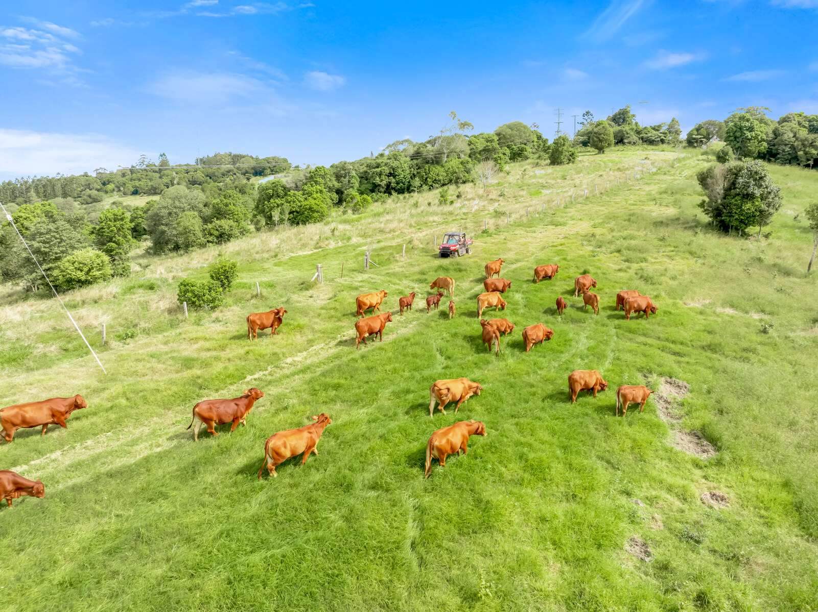 Rural Property For Sale QLD 