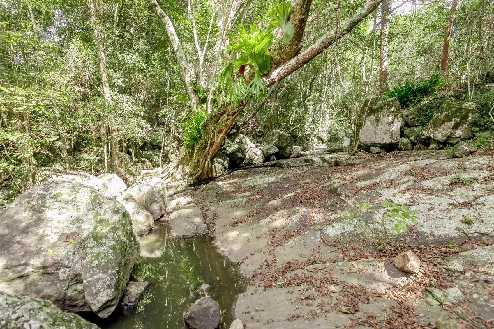Rural Property For Sale QLD 