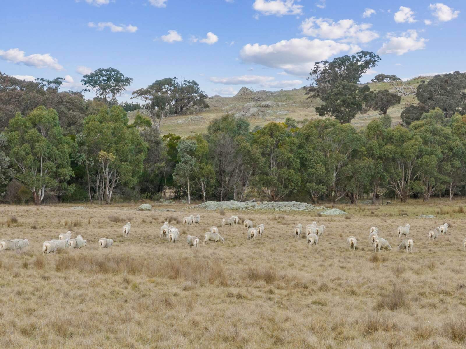 Rural Property For Sale NSW Southern Tablelands