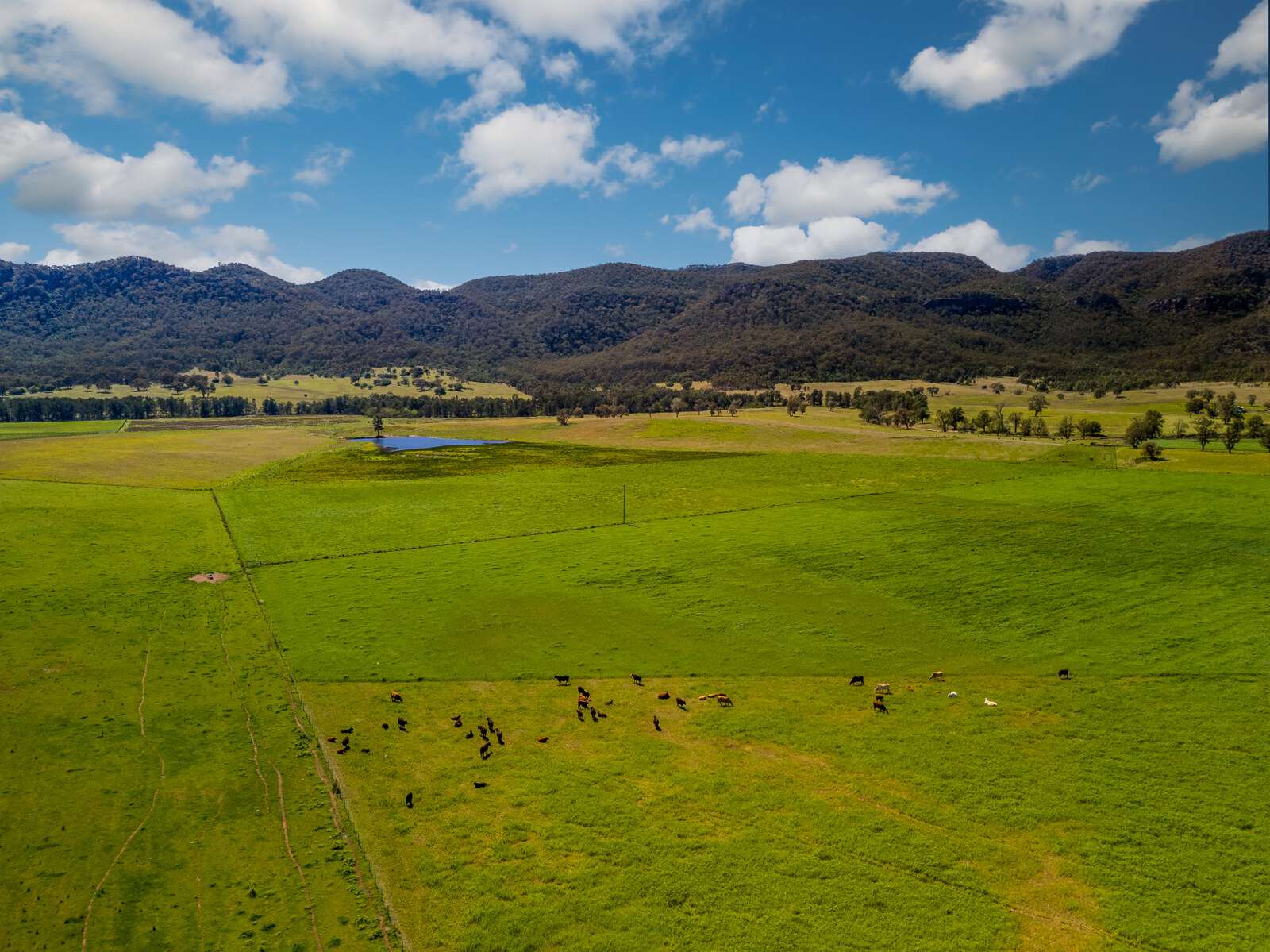 rural property for sale NSW