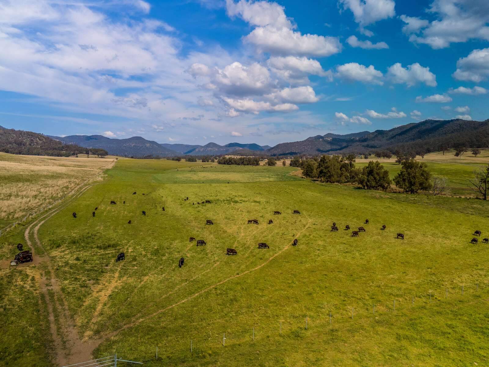 rural property for sale NSW