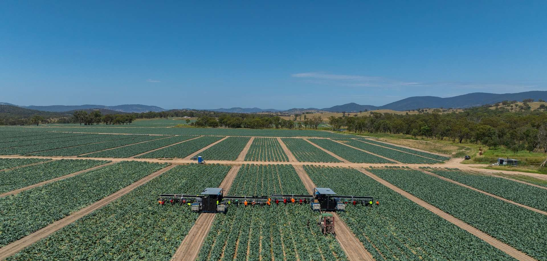 rural property for sale NSW