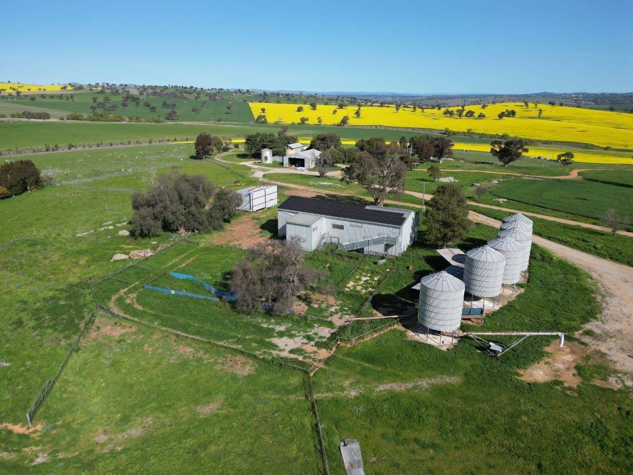 Rural Property For Sale Harden NSW