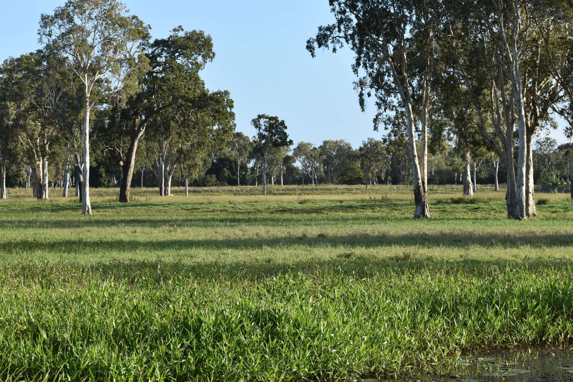 Waterfront Cattle Property For Sale QLD