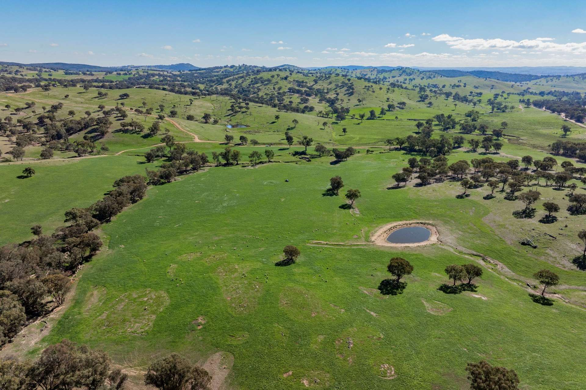 cattle Property For Sale NSW