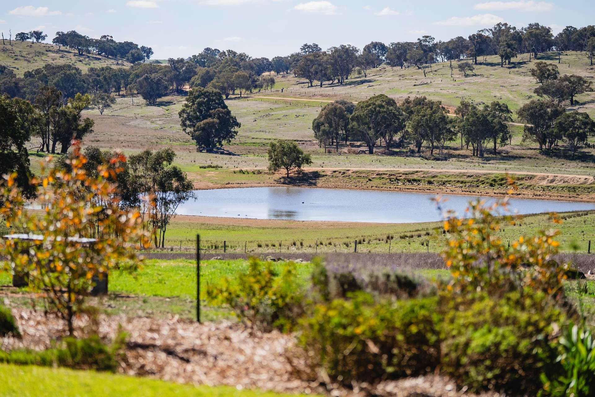 cattle Property For Sale NSW