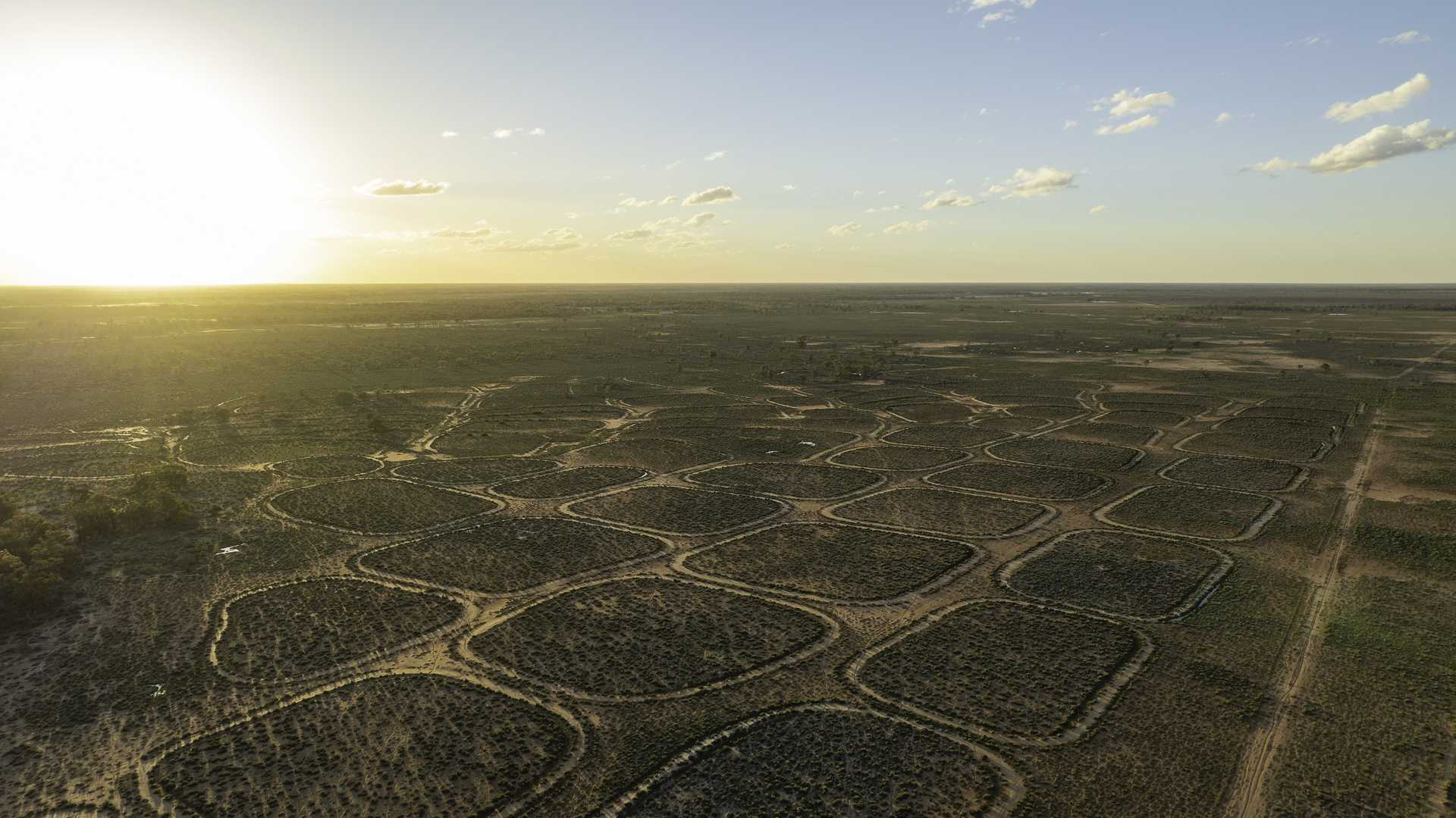 Sheep and Cattle Property For Sale NSW