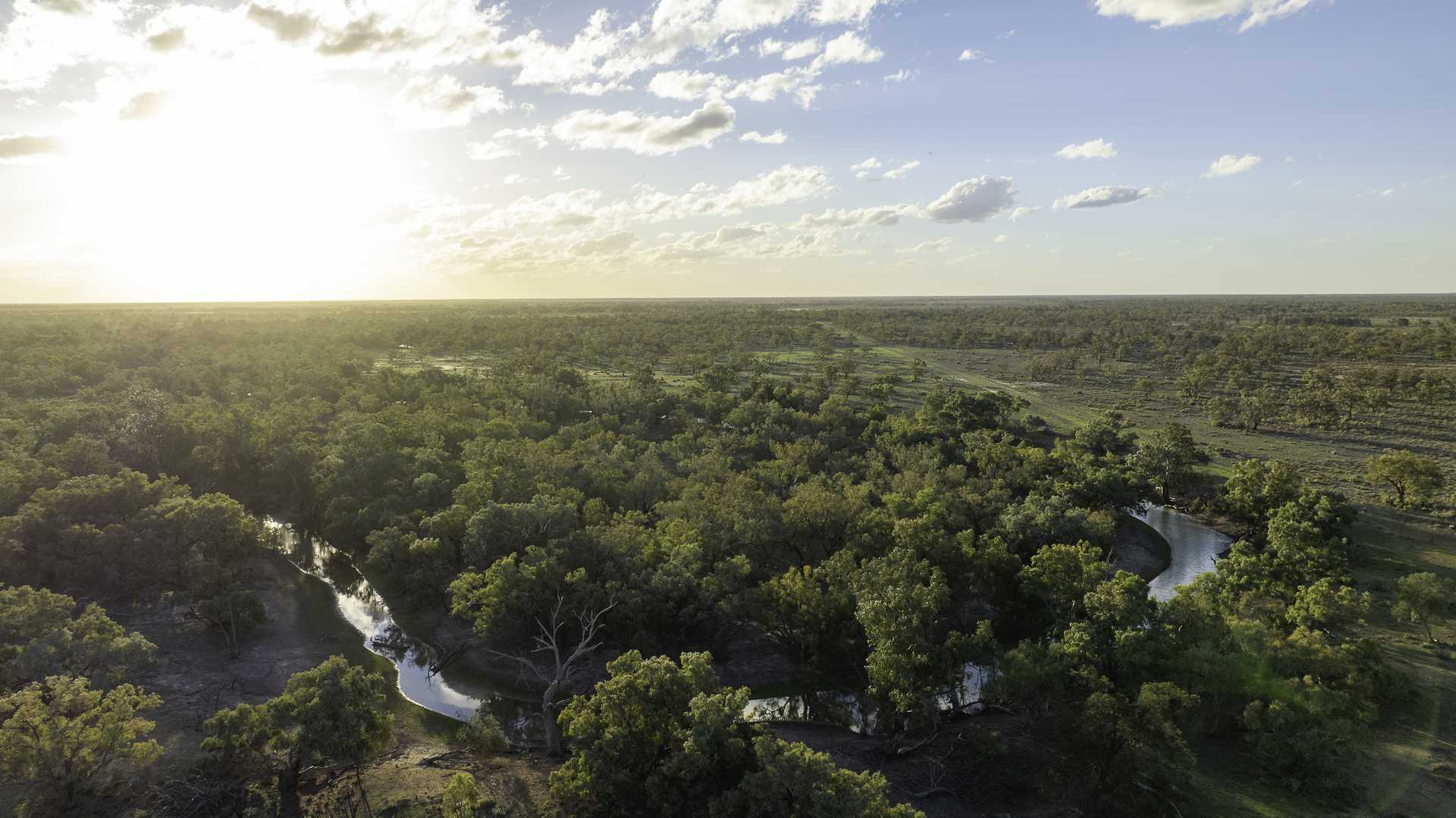 Sheep and Cattle Property For Sale NSW