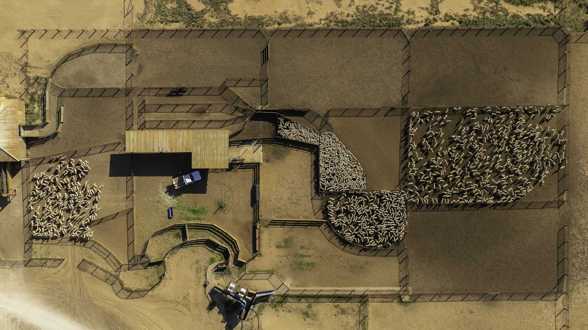 Sheep and Cattle Property For Sale NSW