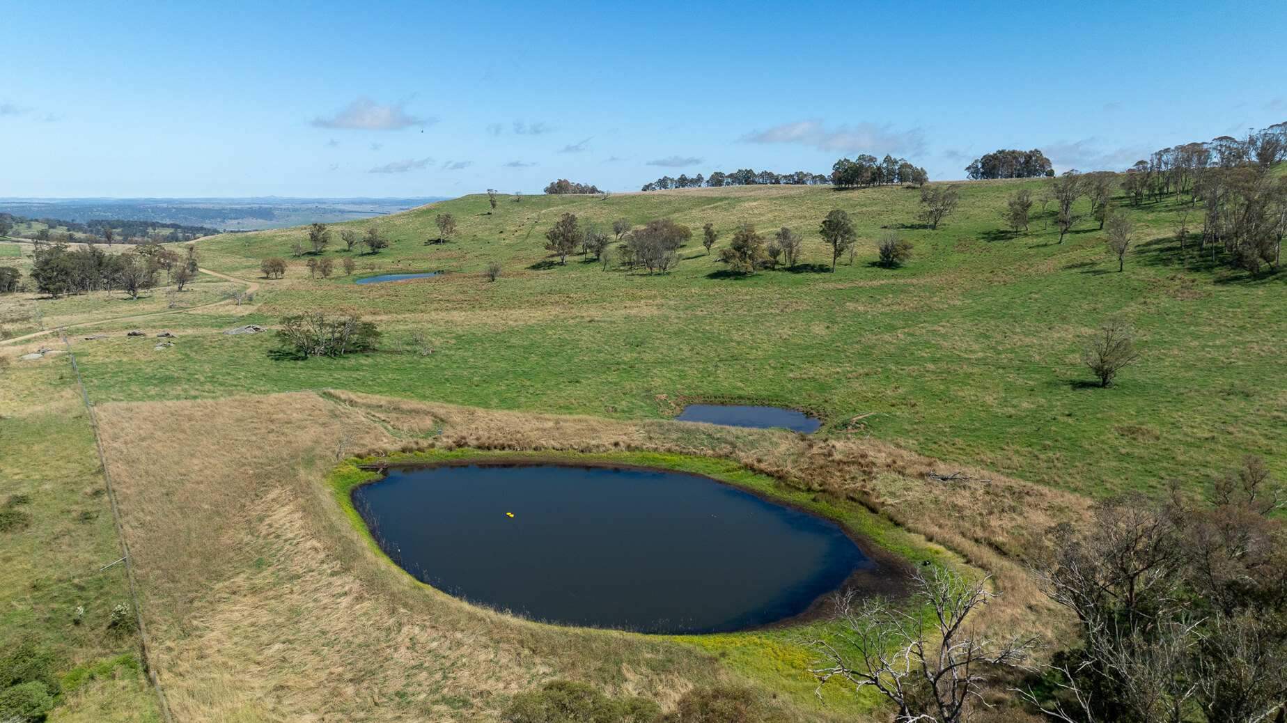 Rural Property For Sale Northern NSW