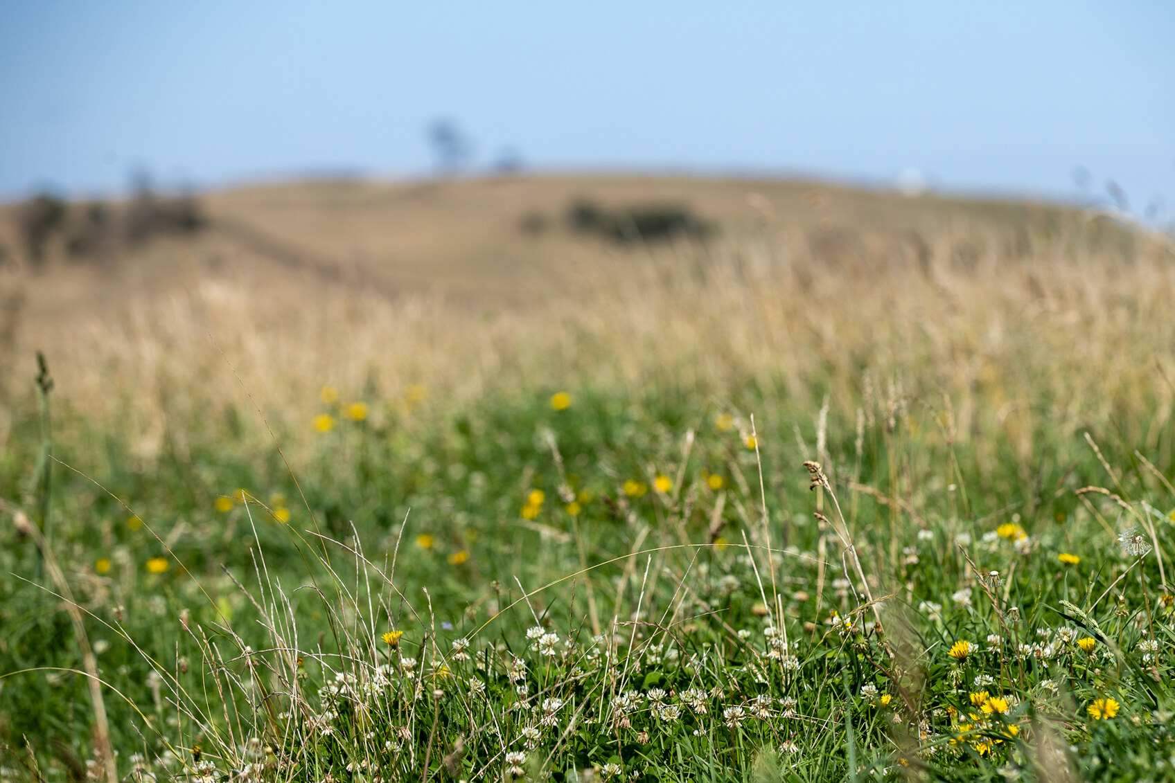 Rural Property For Sale Northern NSW