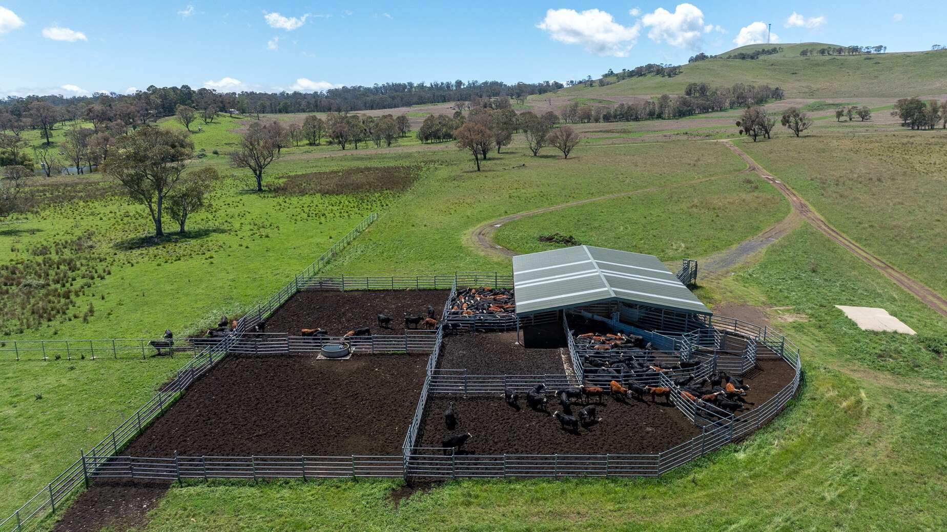Rural Property For Sale Northern NSW