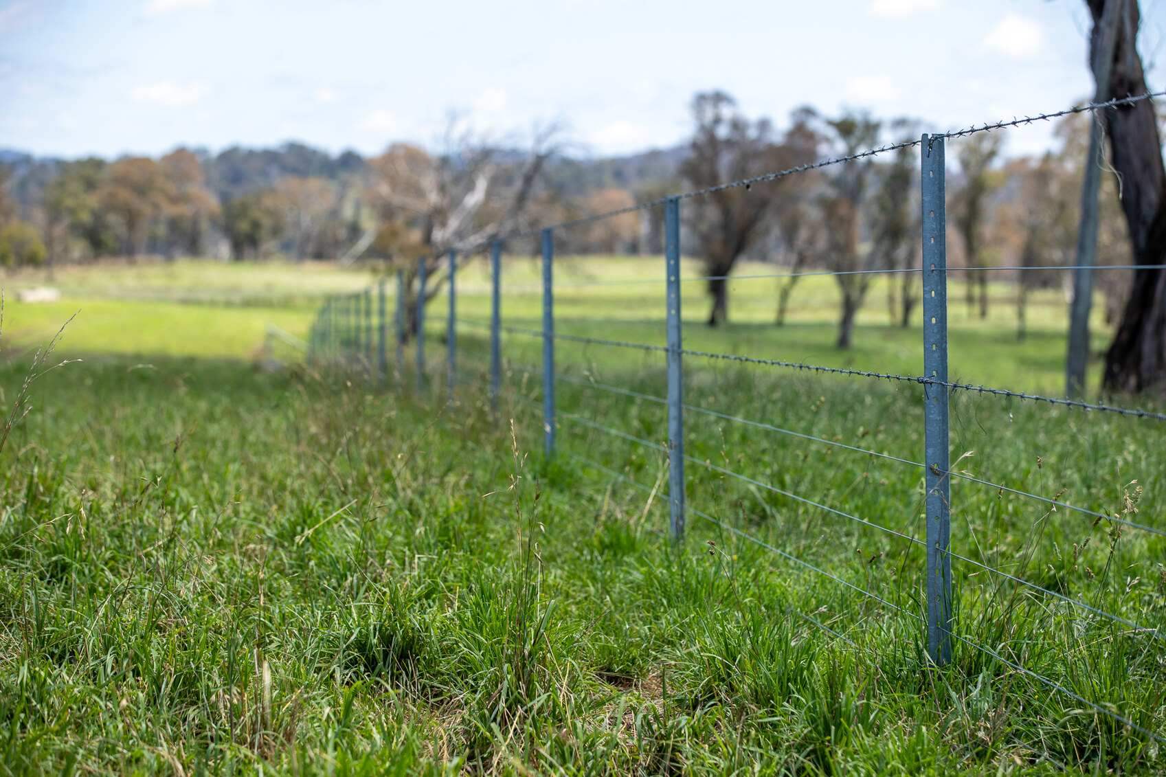 Rural Property For Sale Northern NSW