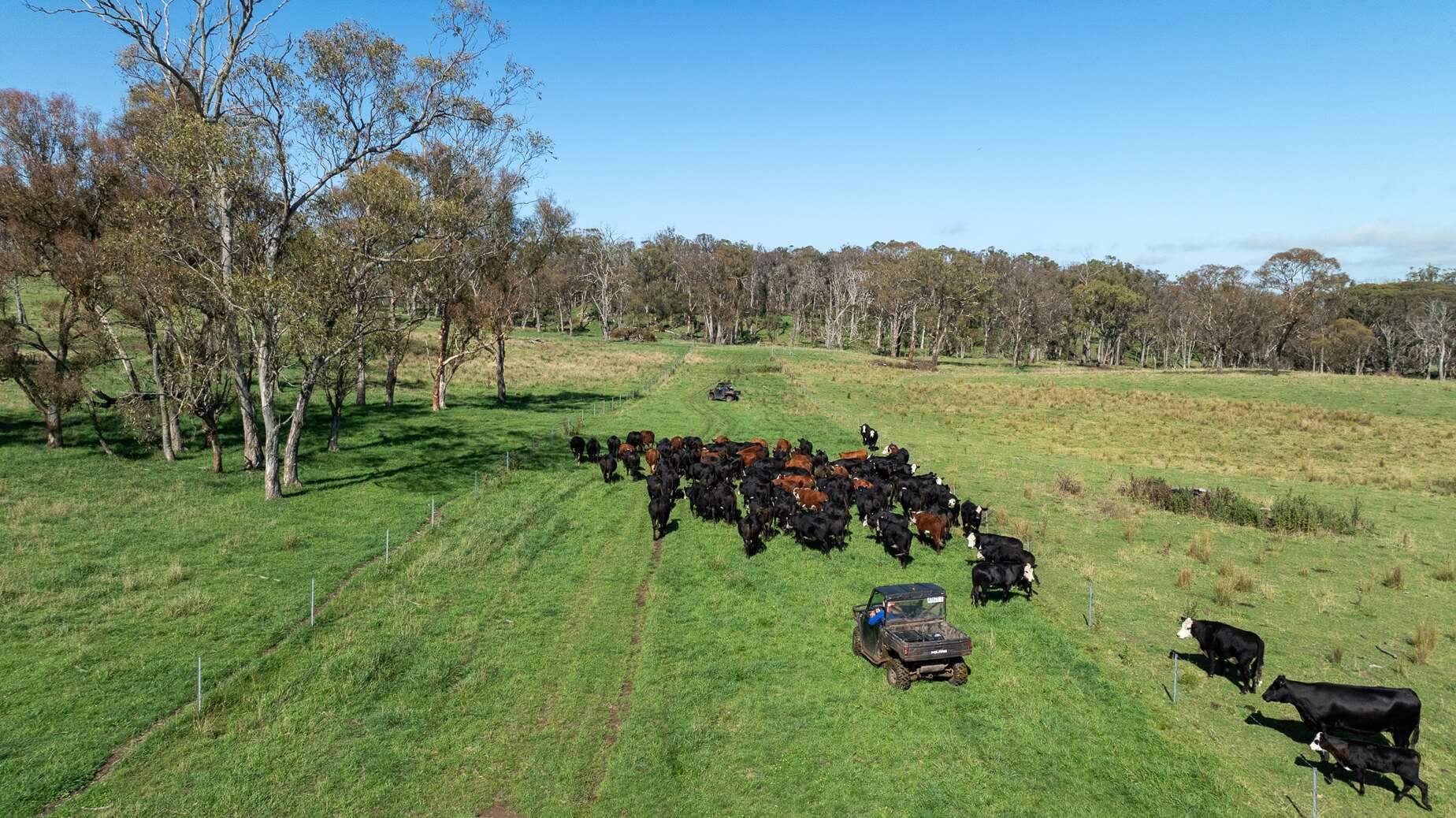 Rural Property For Sale Northern NSW