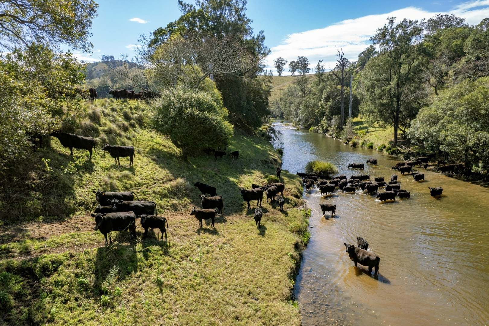 Cattle Property For Sale NSW