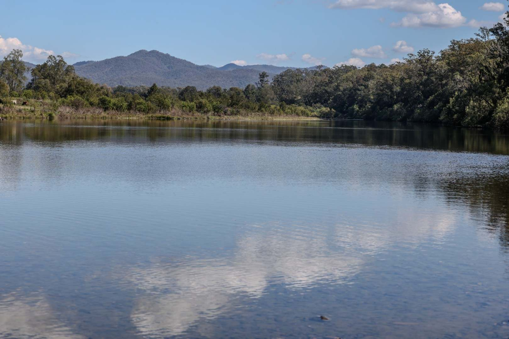 Rural Property For Sale NSW