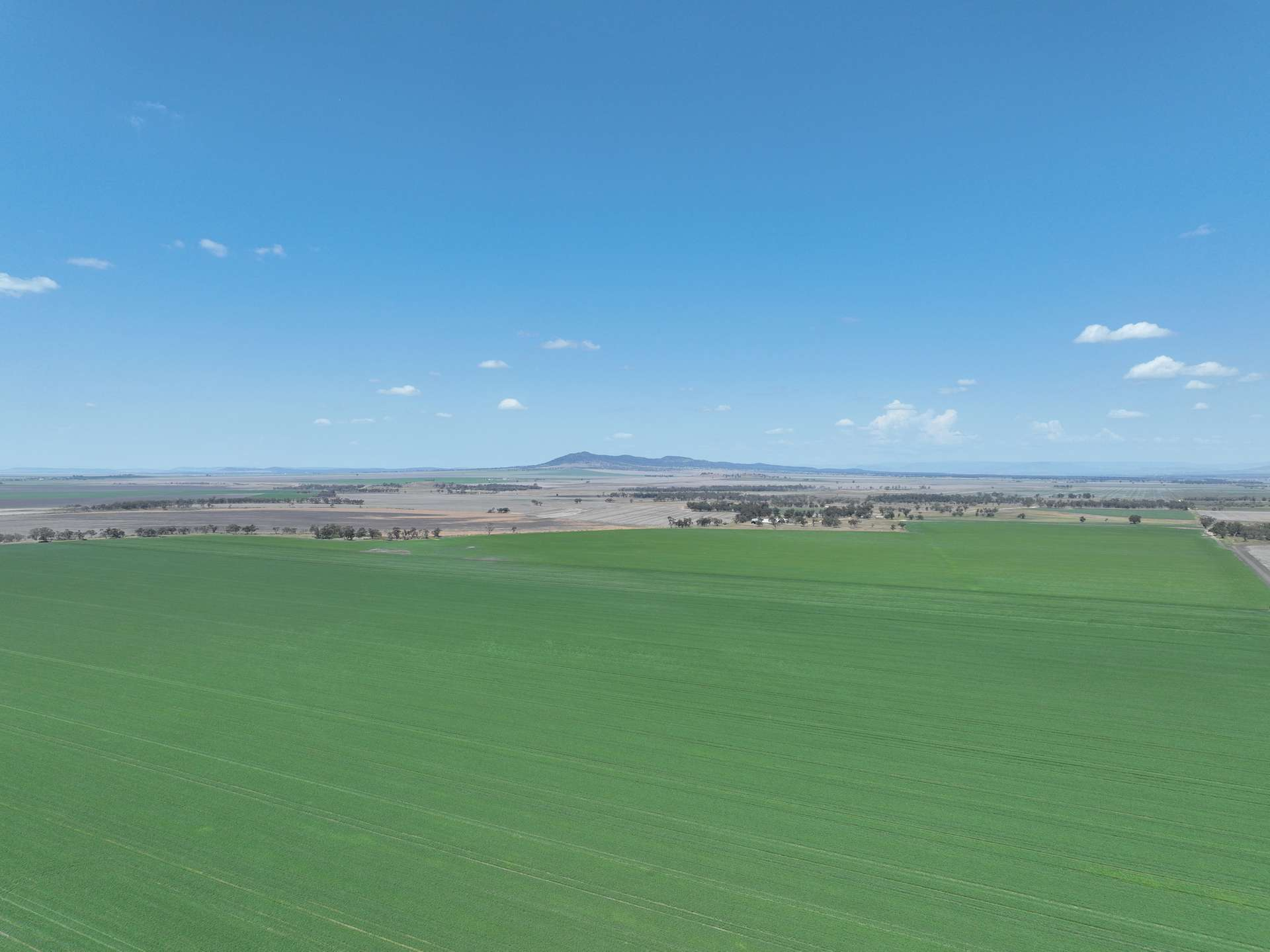Farm For Sale NSW