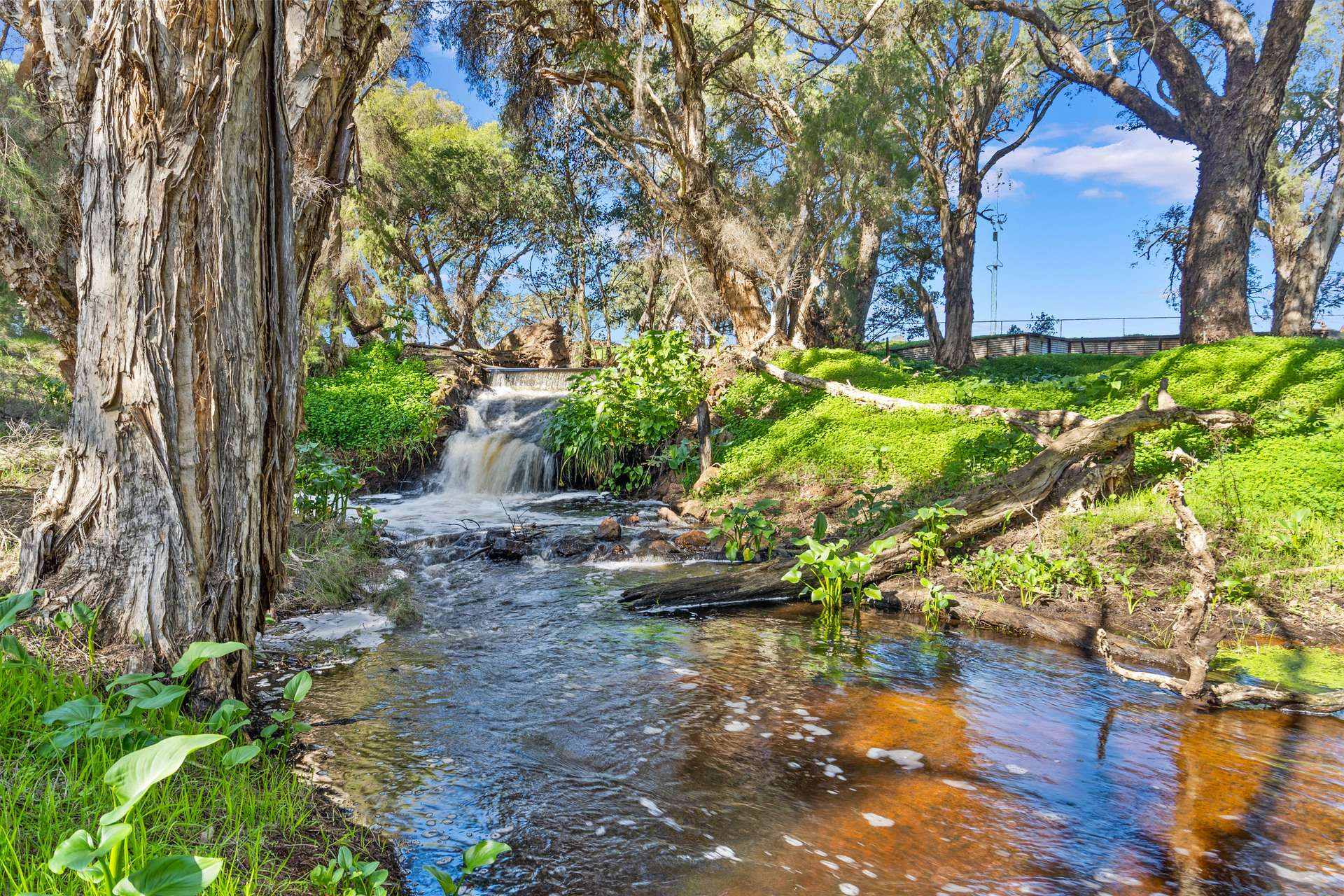 rural property for sale WA