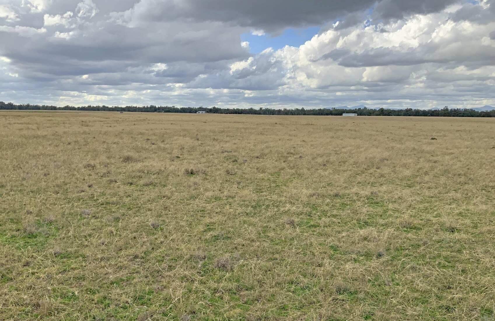 rural property for sale NSW