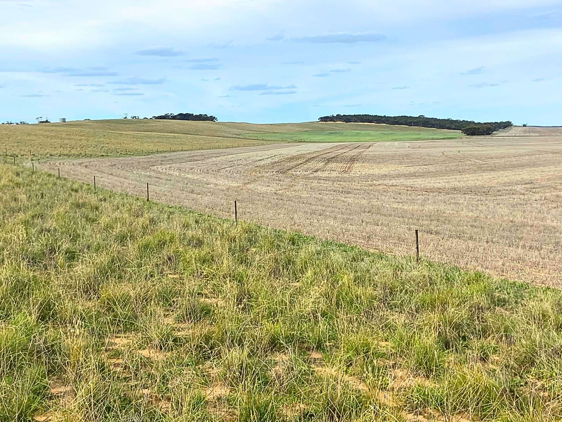 Mixed Farm For Sale SA
