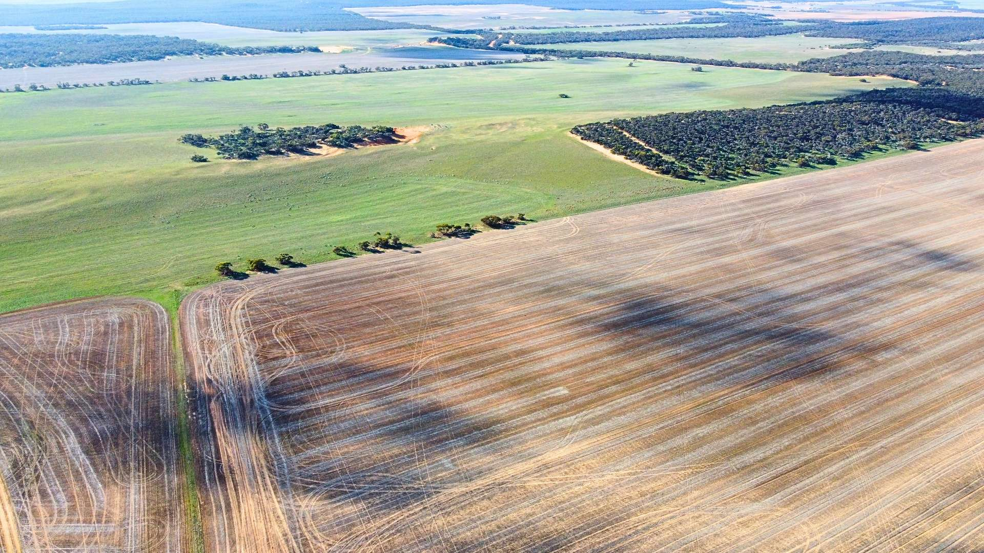 Mixed Farm For Sale SA