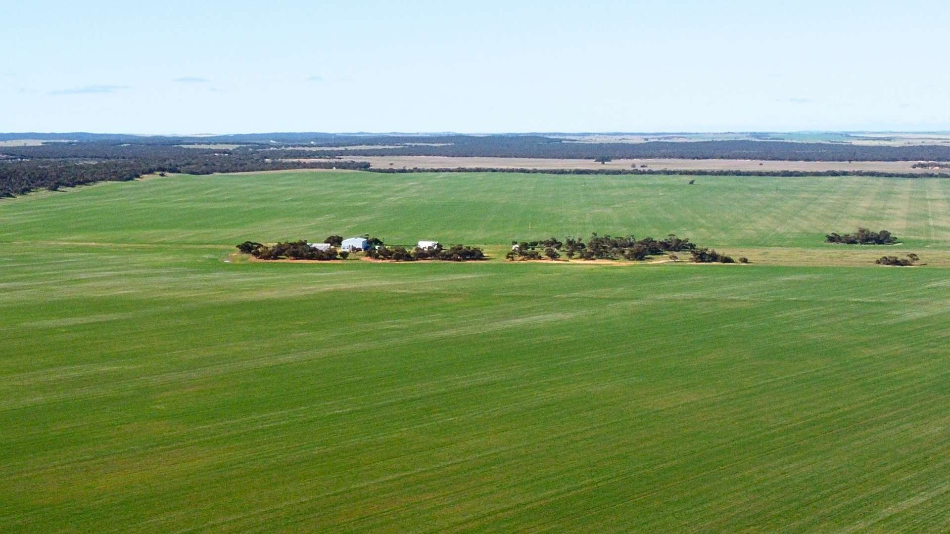 Mixed Farm For Sale SA
