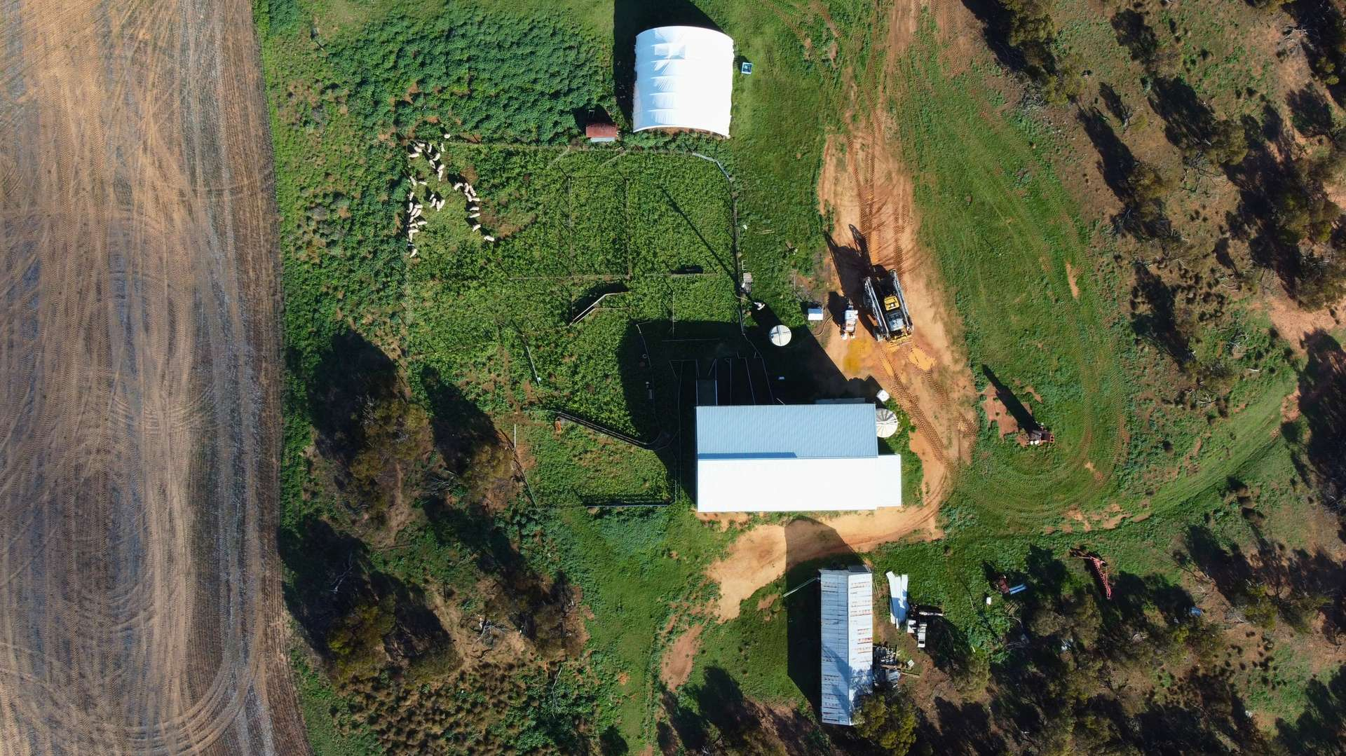 Mixed Farm For Sale SA