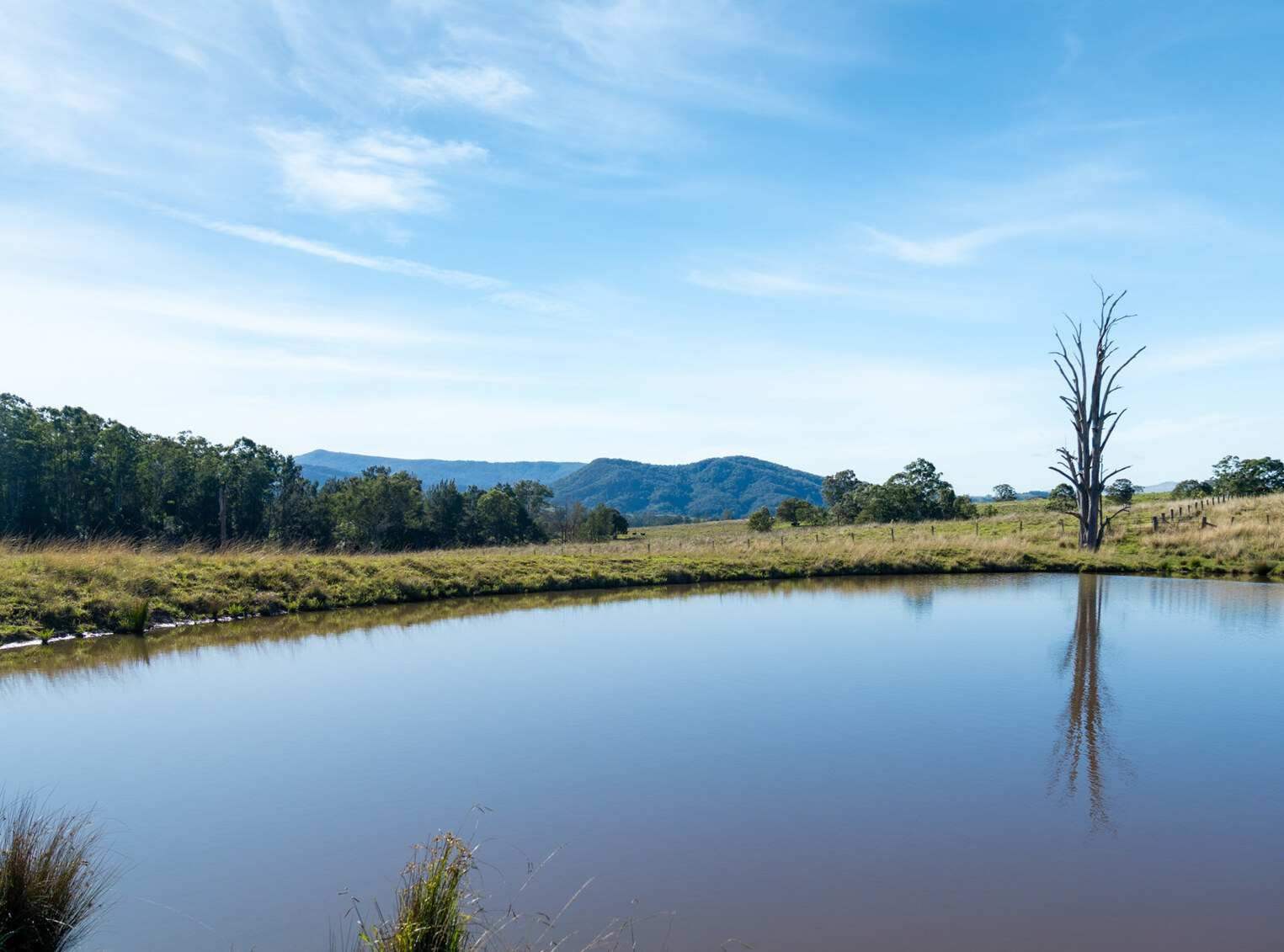 rural property for sale NSW