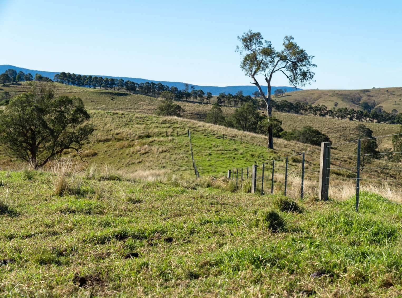 rural property for sale NSW